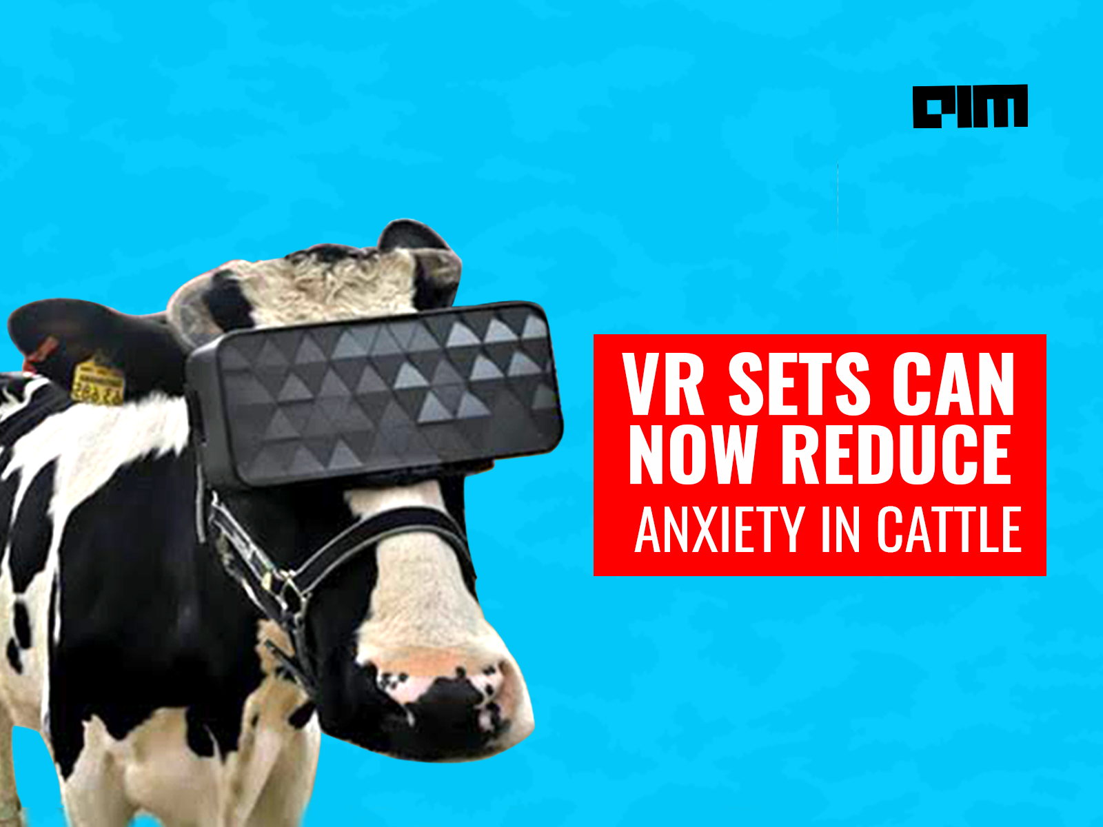 Calamity Forslag Regnbue Why Are These Russian Cows Wearing VR Headsets? ﻿