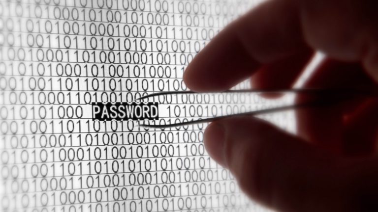 password hackers