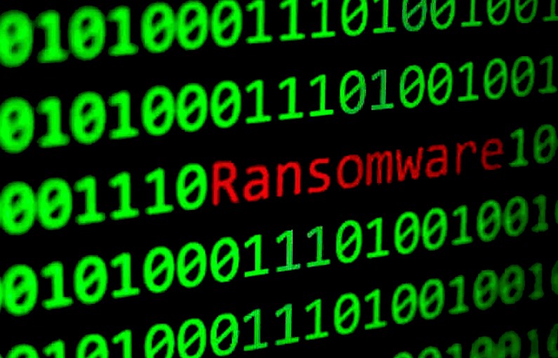 ransomware database