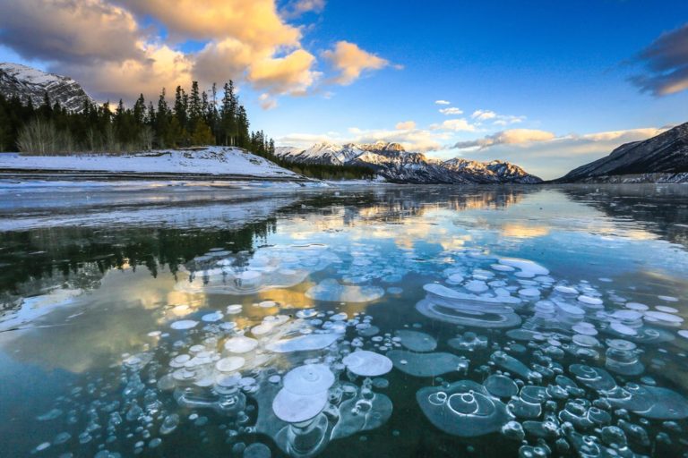 The Gridworld: Dynamic Programming With PyTorch & Reinforcement Learning For Frozen Lake Environment