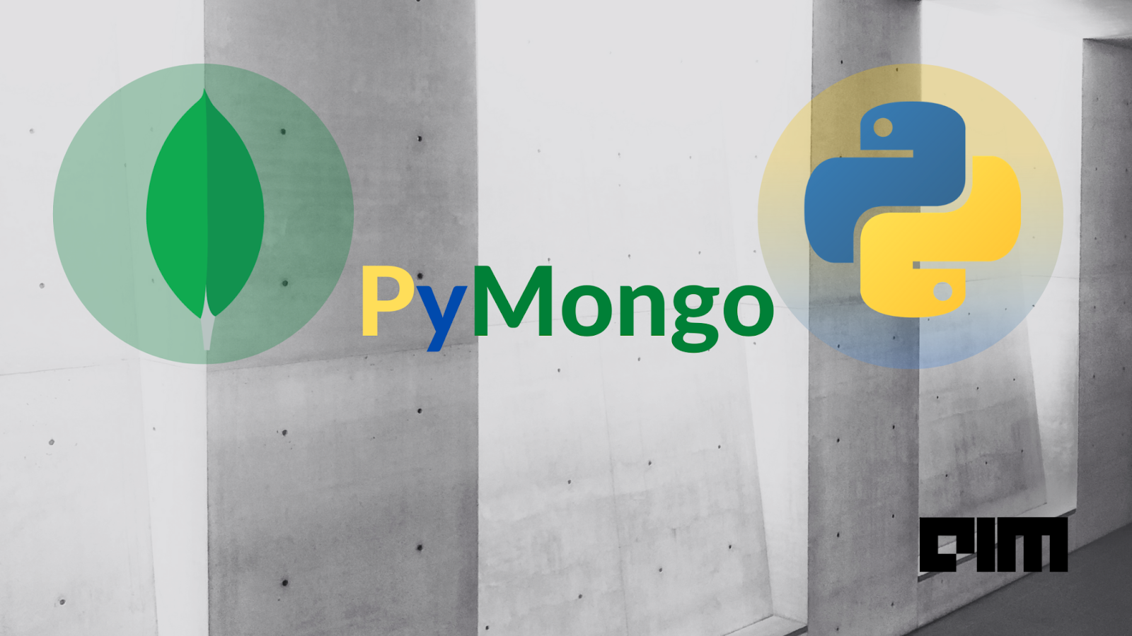 pymongo-mongodb