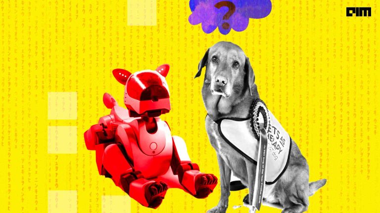 “Social robots” are the future of pets