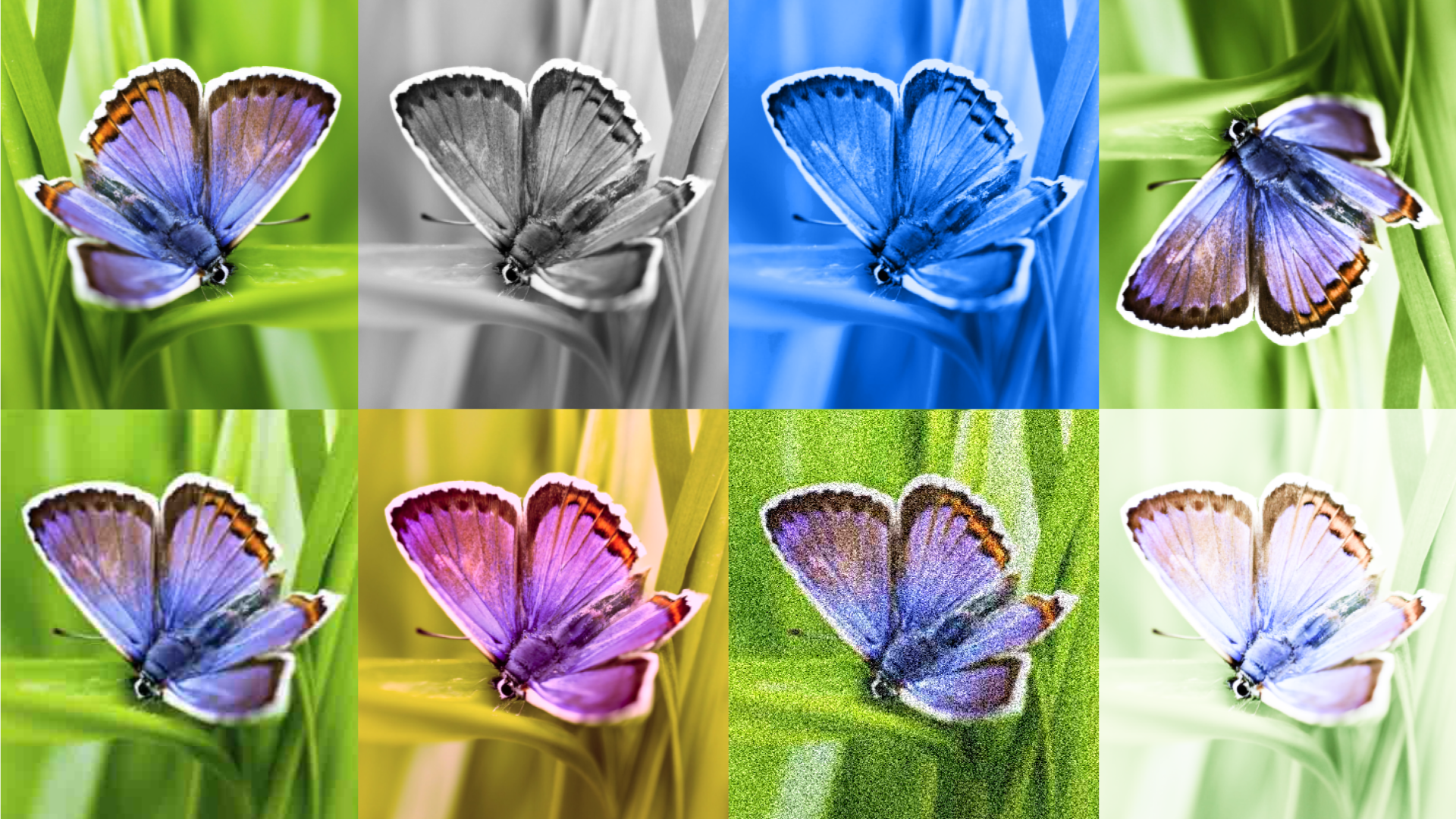 DeepMind Introduces SynthID to Watermark AI-Generated Images