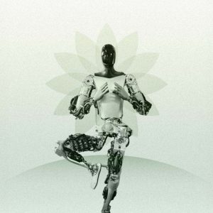 Optimus Finally Learns Yoga Moves, Performs Vrikshasana